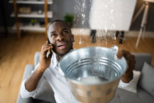 Best Carpet water damage restoration  in White Plains, NC