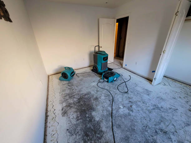 Best Fire Damage Restoration  in White Plains, NC