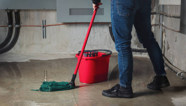 Best Flooded house restoration  in White Plains, NC