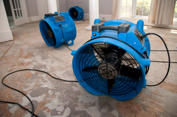 Best 24-hour water damage restoration  in White Plains, NC