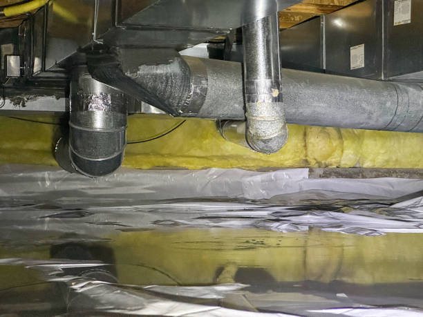 Best Mold removal after water damage  in White Plains, NC
