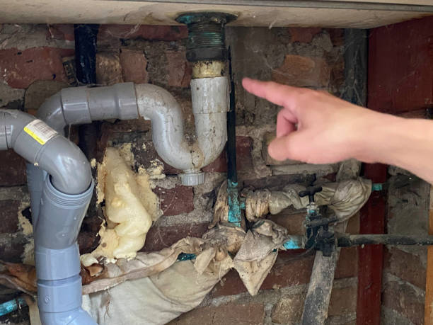 Best Water damage restoration insurance claims  in White Plains, NC