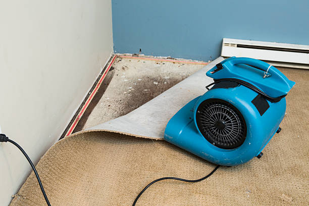 Best Basement water damage restoration  in White Plains, NC
